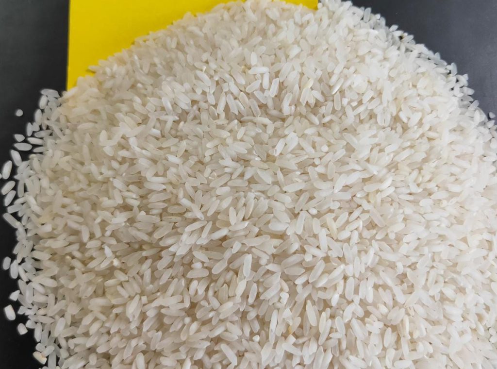 Rice